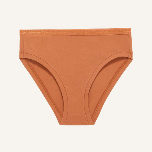 A mid rise bikini in spice brown color.