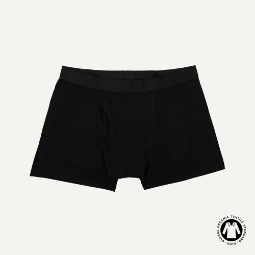 Organic Cotton Men's Boxer Brief in Carbon
