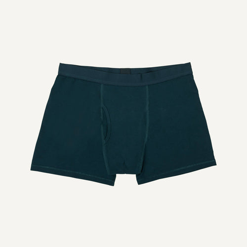 Organic Cotton Men's Boxer Brief in Meridian