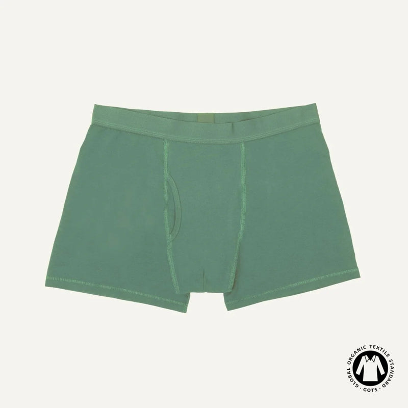 Organic Cotton Men's Boxer Brief in Willow