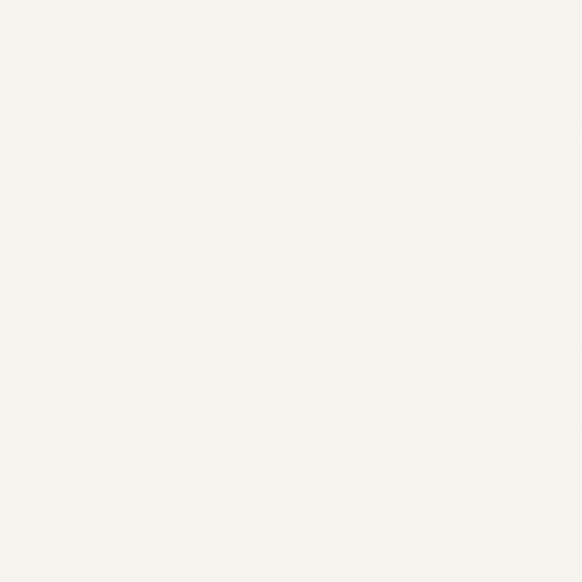 Organic Cotton Women's Underwear Starter Set in Carbon