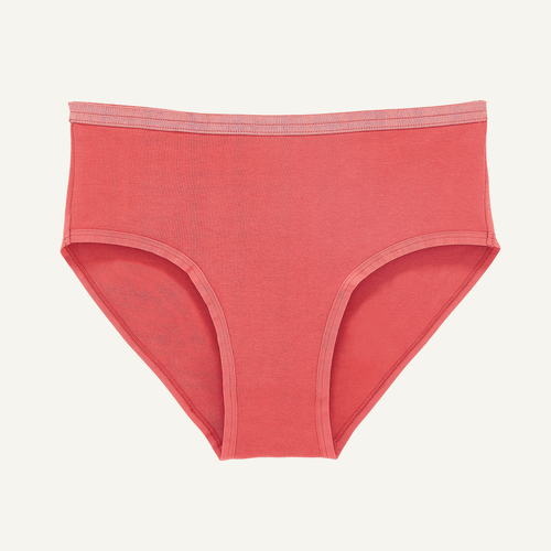 Old English rose 100%cotton knickers — Buttress & Snatch